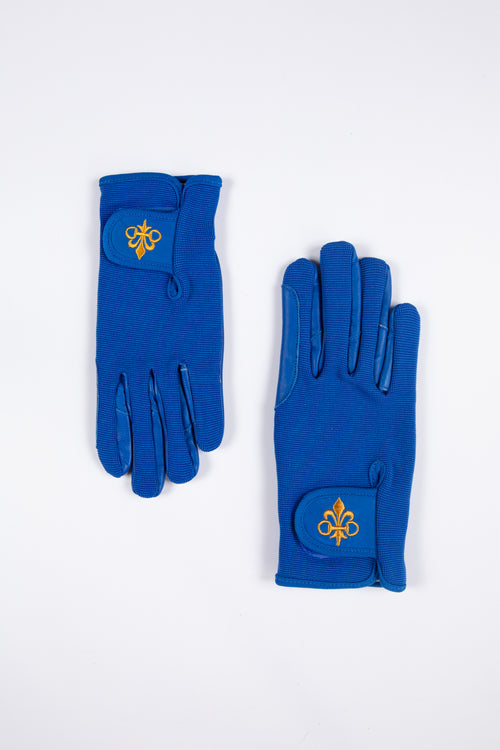The Sapphire Riding Gloves