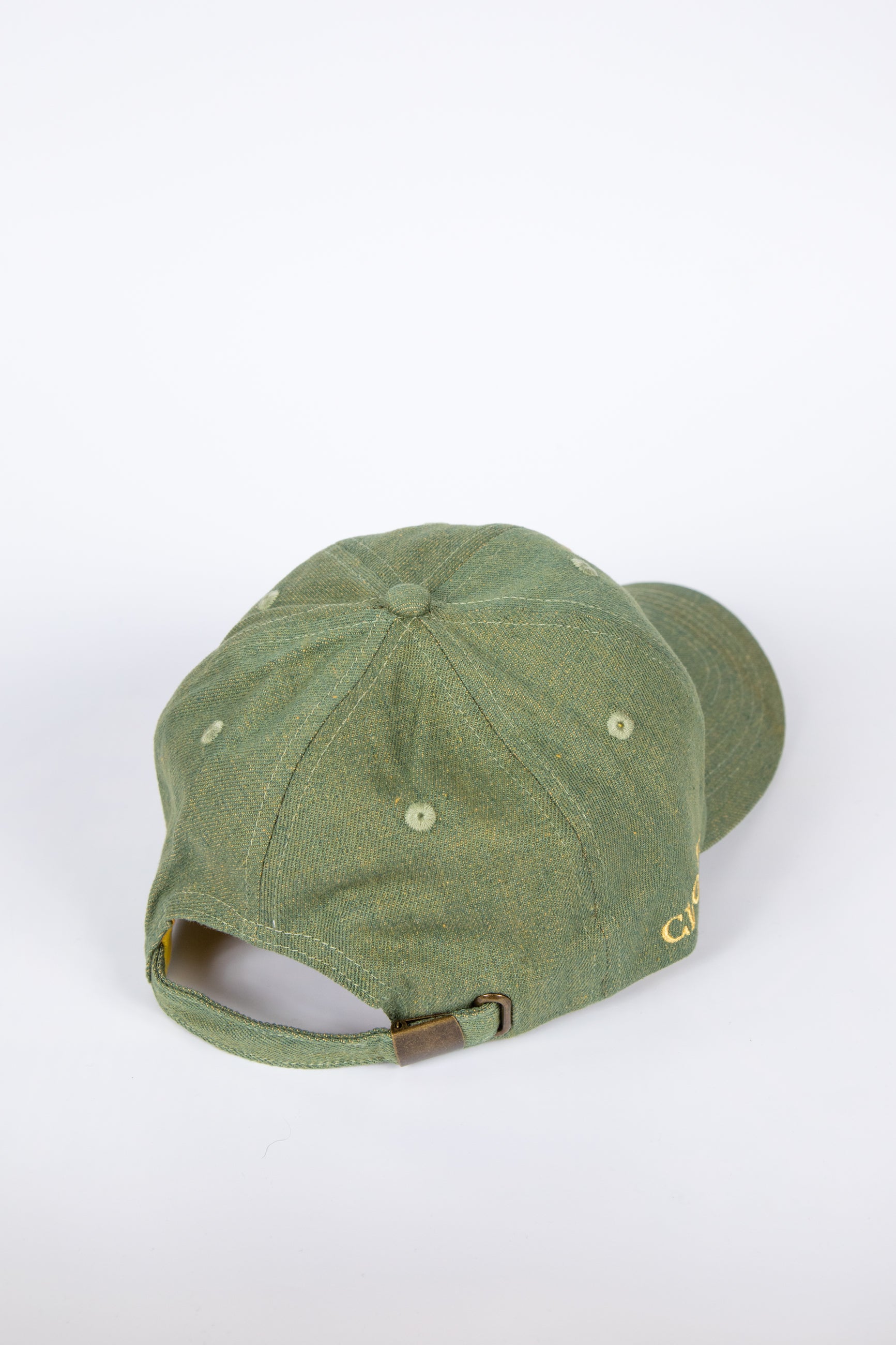 King Clovis Denim Dad Hat - Vert