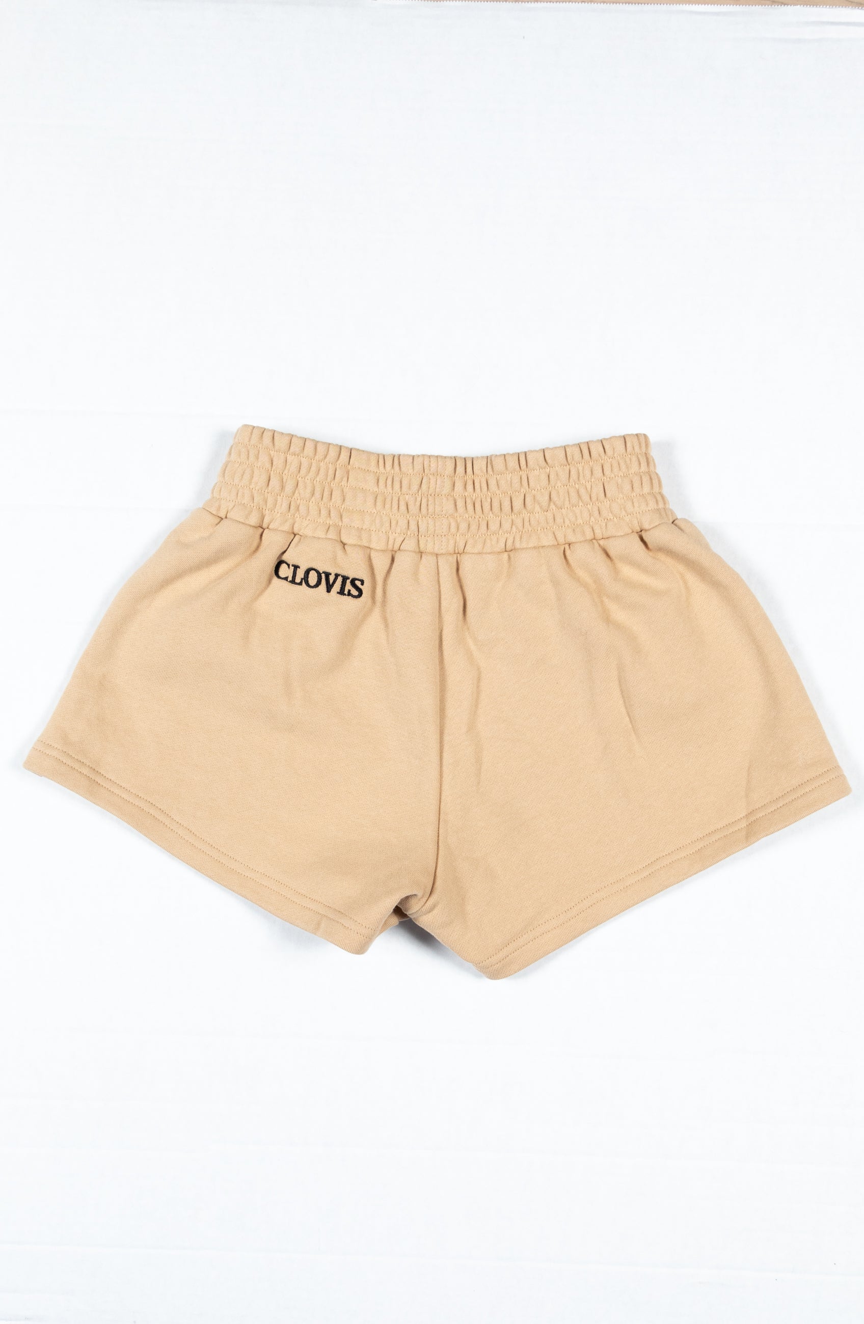 The Champion Shorts
