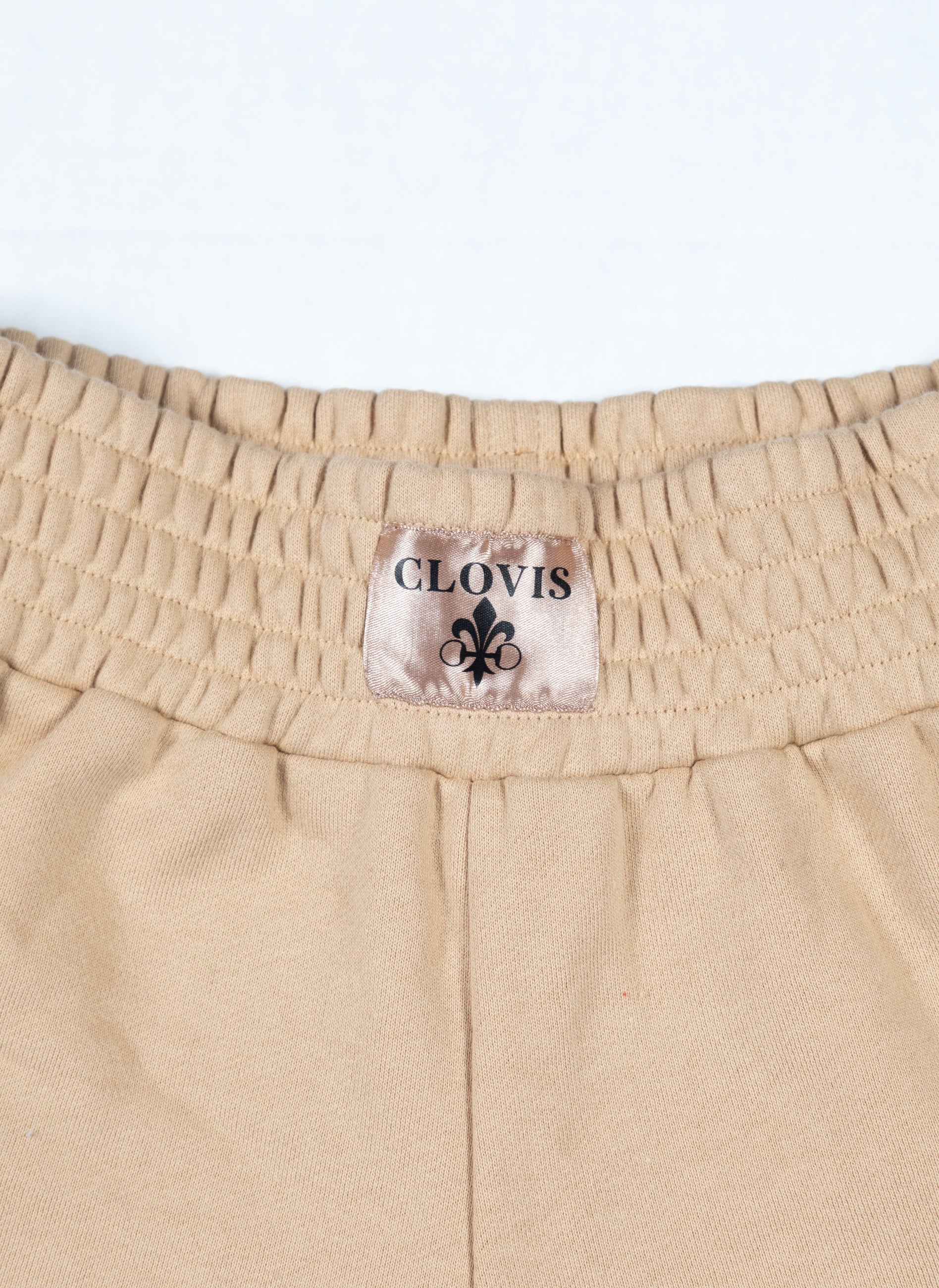 The Champion Shorts